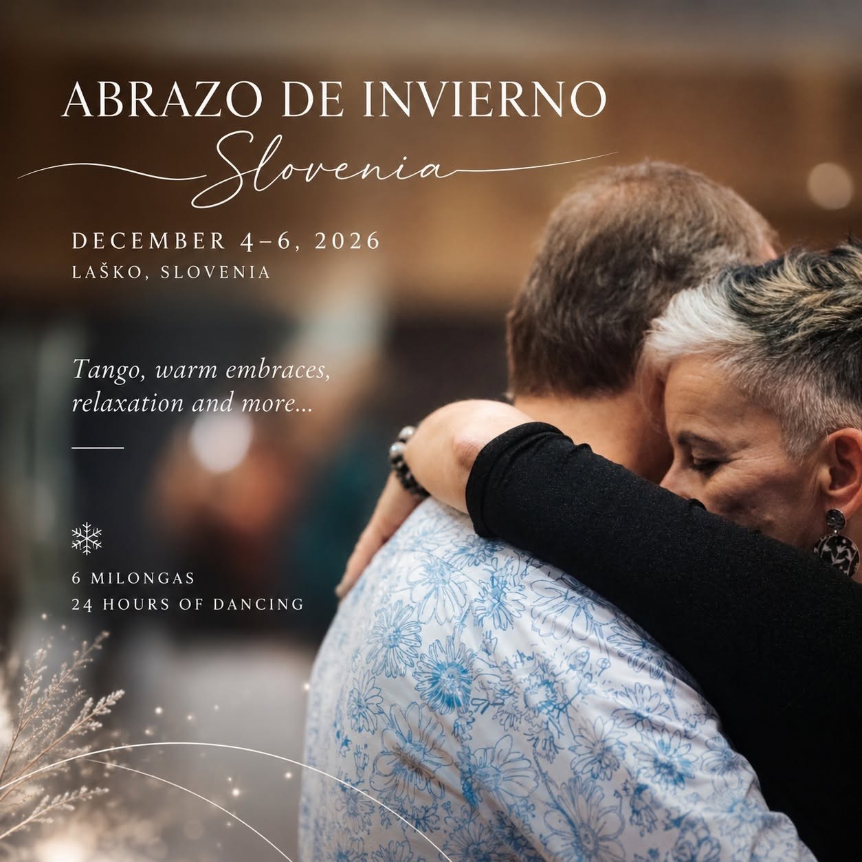 Abrazo de Invierno Slovenia poster